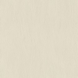 540819 Обои Rasch (Allegretto) (1*12) 10,05x0,53 винил на флизелине