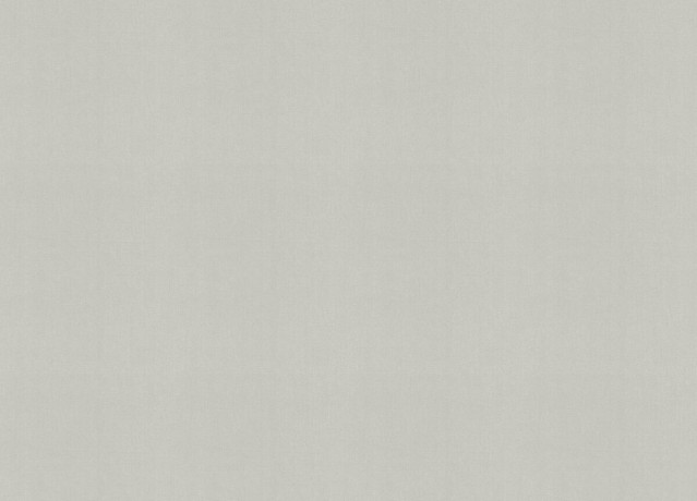 633757 Обои Rasch (Beltesto) (1*12) 10,05x0,53 винил на флизелине