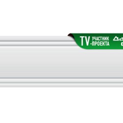 Молдинг гладкий DECOMASTER D156ДМ (50*11*2000мм)