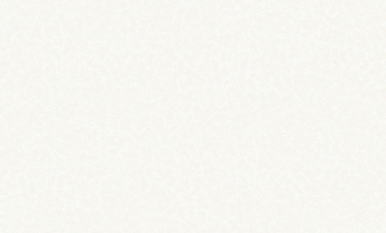 W189101 Обои Wall-Up (Bright Whisper) (1*6) 10,05х1,06 винил на флизелине